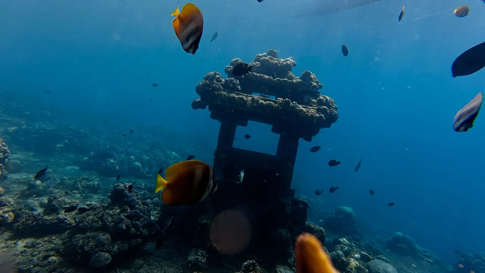Jemeluk Underwater Temple surrounded by butterflyfish in Amed